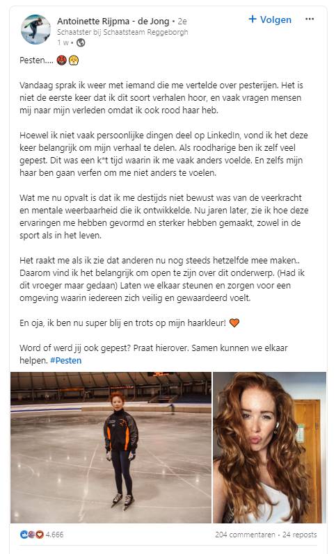 LinkedIn-bericht van Antoinette.